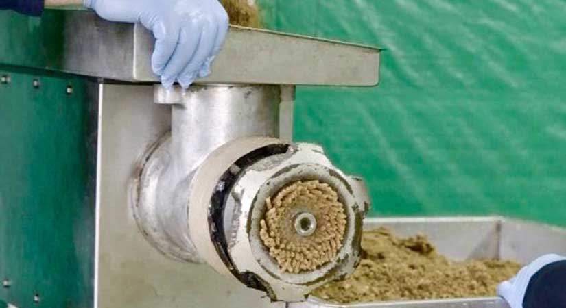 Giresun Belediyesi’nden hayvan dostu devrim