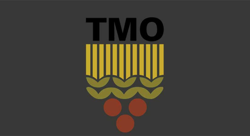 TMO Fındık Satışlarına Başlıyor: Kilo 145 TL