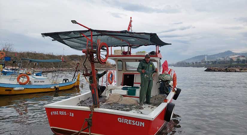Giresun’da balıkçılara destek başvuruları başladı