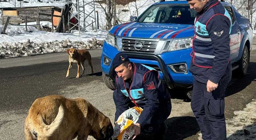 Jandarmadan “Can” lara şevkat eli