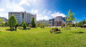 İngilizce İşletme Lisans Programı 30 öğrenciyle başlıyor