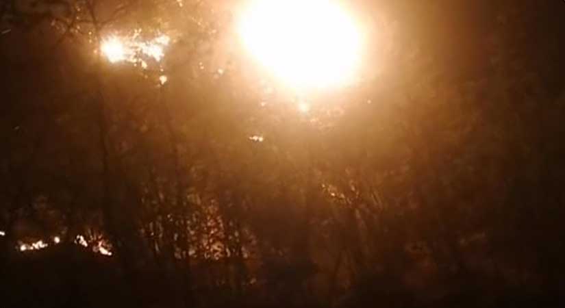 Espiye’nin Gebelli köyünde orman alevlere teslim