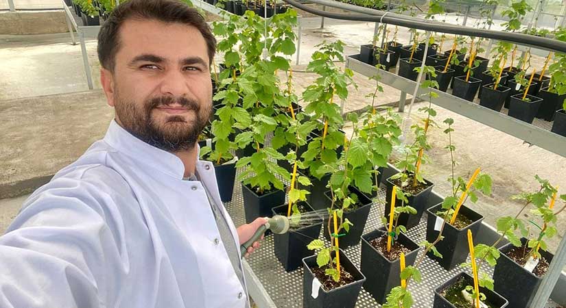 FAE, fidan dikimini sürdürüyor