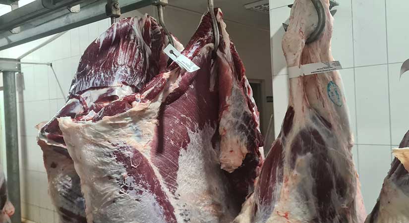 Yeni sistemle kırmızı ette şeffaflık geliyor