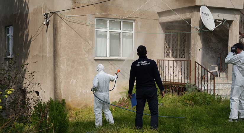 Piraziz’de Kahverengi Kokarca ile mücadele sürüyor