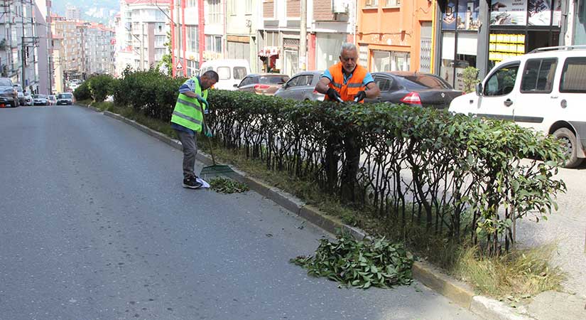 Giresun Belediyesinden yeşil alanlara bahar bakımı