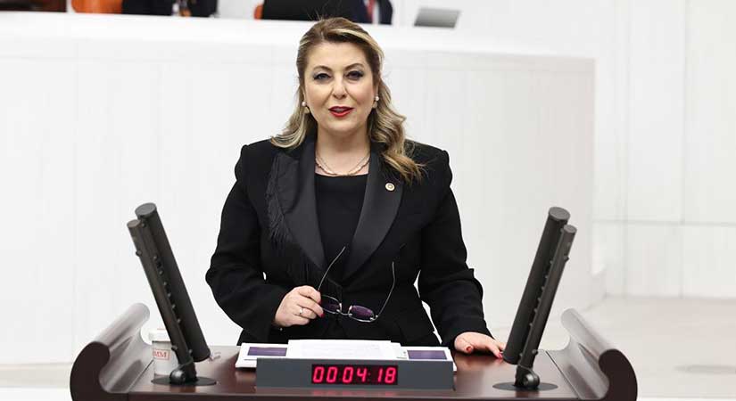 Gezmiş: İhmal değil cinayete resmen davetiye çıkarılmıştır