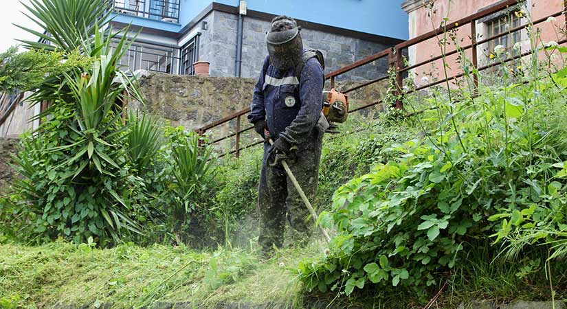 Belediye ekipleri okul bahçelerinde ot biçme çalışması yaptı