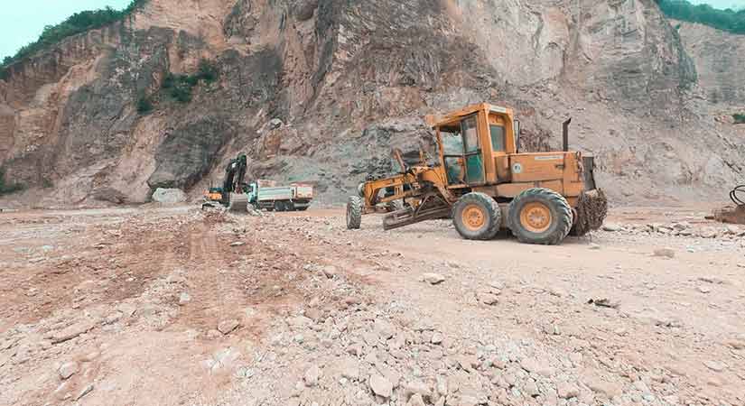 Giresun’da sokak hayvanları için dev tesis geliyor