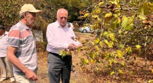 TZOB Başkanı Bayraktar: Bu düşüş normal değil, manipülasyon var