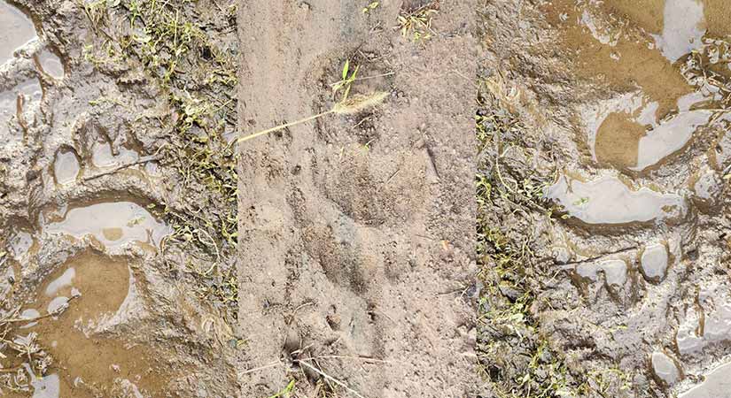 Köylüler tedbirli olmaları konusunda uyarıldı