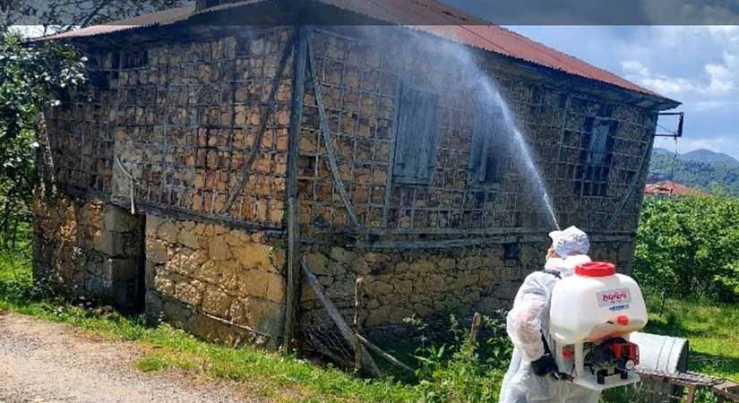 Giresun’da kokarca için ilaçlama uyarısı
