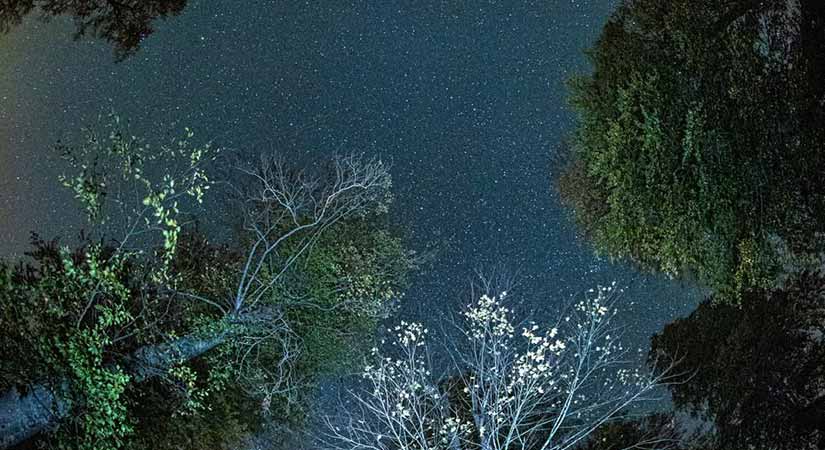 C/2025 Lemmon Kuyruklu Yıldızı ve Orionid yağmuru görsel şölen sundu