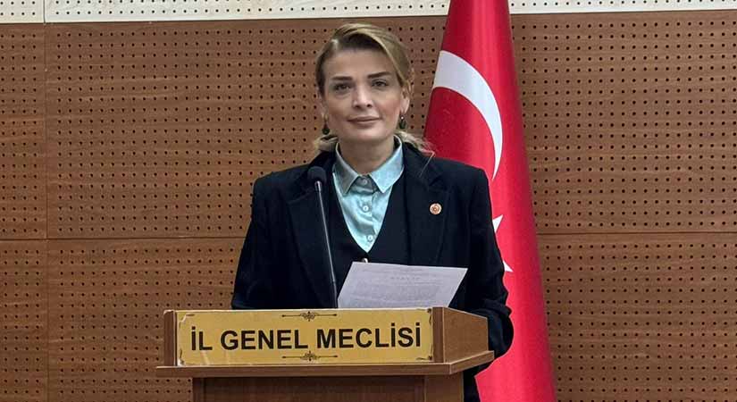 Peker: Madenler, Giresun’un yaşam kaynağını yok ediyor