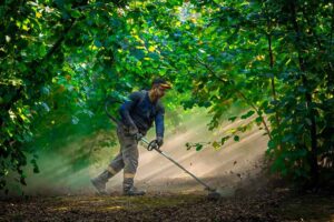 Giresun’da fındık üreticilerine destek ödemeleri başlıyor
