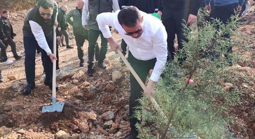 Espiye’de 500 fidan toprakla buluştu