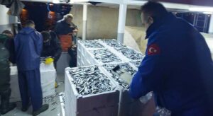 Giresun’da su ürünleri çalışmaları değerlendirildi