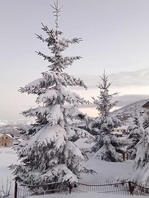 Giresun’un yaylaları beyaza büründü