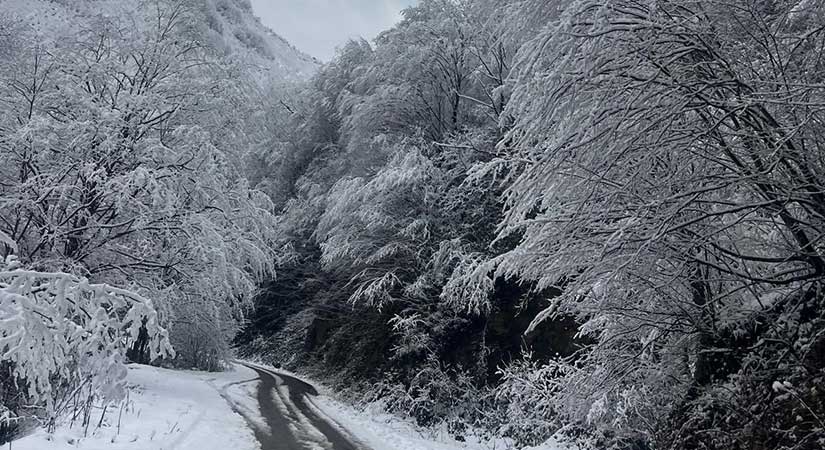 Giresun’da 307 köy yolu ulaşıma kapandı