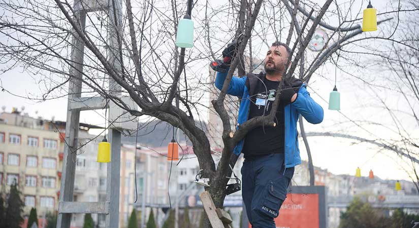 Giresun Sahilinde Ağaçlar İçin Özel Çalışma