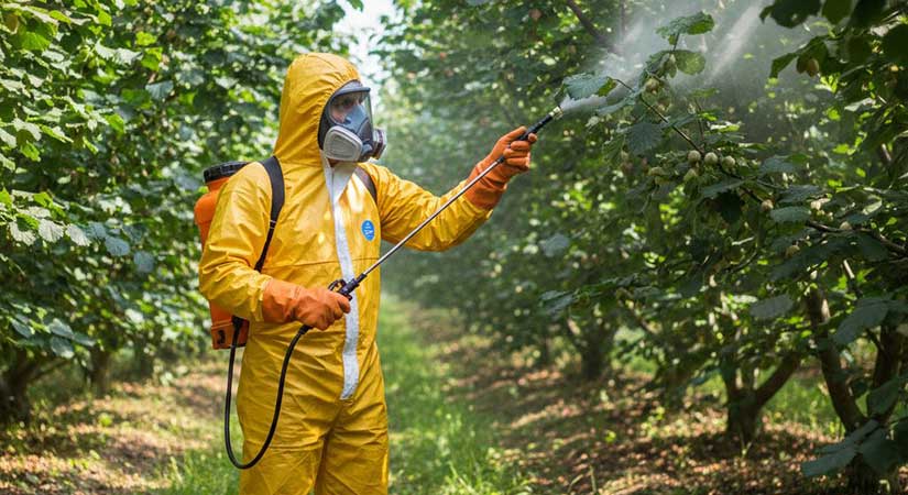 Belgesiz İlaçlamaya İzin Yok