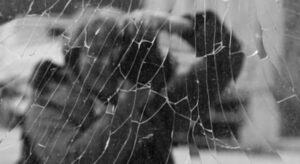 GİFOD’da ‘Gölgeler’ Sunumu Heyecanı