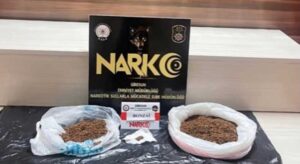 Kılıç Suç Örgütü’ne darbe: 29 tutuklama