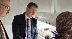 TAGEM’den fındıkta FAE’ye yakın takip