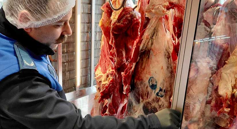 Giresun’da kasaplar zabıtanın merceğinde