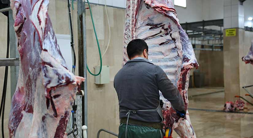 Bulancak Belediyesi Mezbahane Tesisinde ramazan hassasiyeti