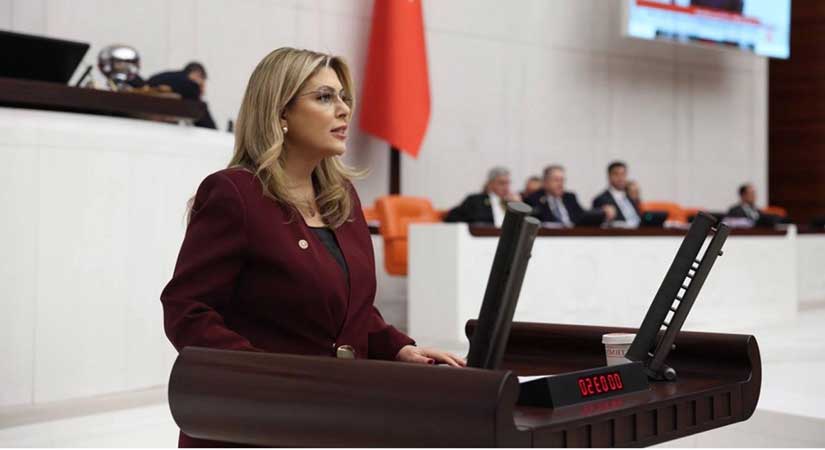 Giresun’da ihale tepkisi yaşam alanları tehlikede