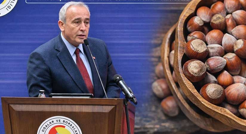 Hamza Bölük Şili’de Türk fındığını anlatacak