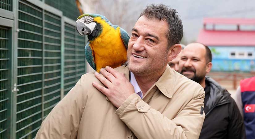 Hayvanat bahçesi yeni türlerle büyüyor