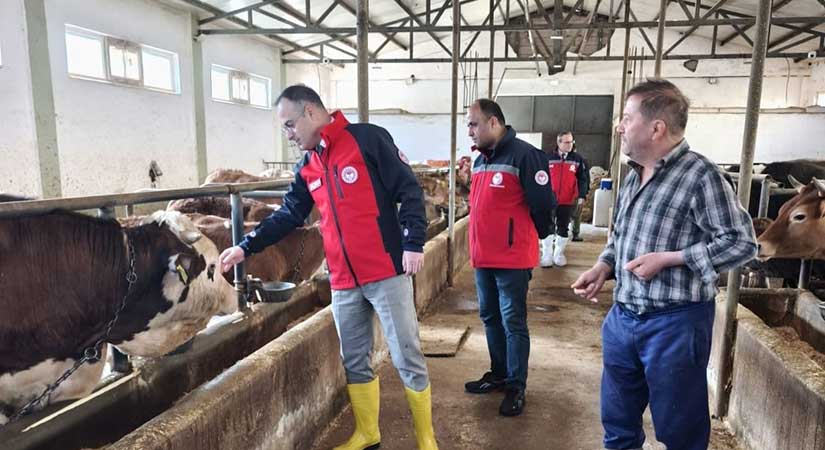 Giresun’da Şap Aşılama Kampanyası Hız Kesmeden Sürüyor