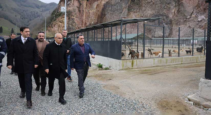 Giresun’un Yeni Hayvan Bakımevini Vali Koç inceledi