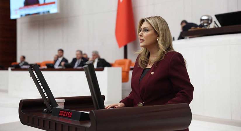 CHP’li Gezmiş Meclis’te maden ruhsatlarına sert çıktı