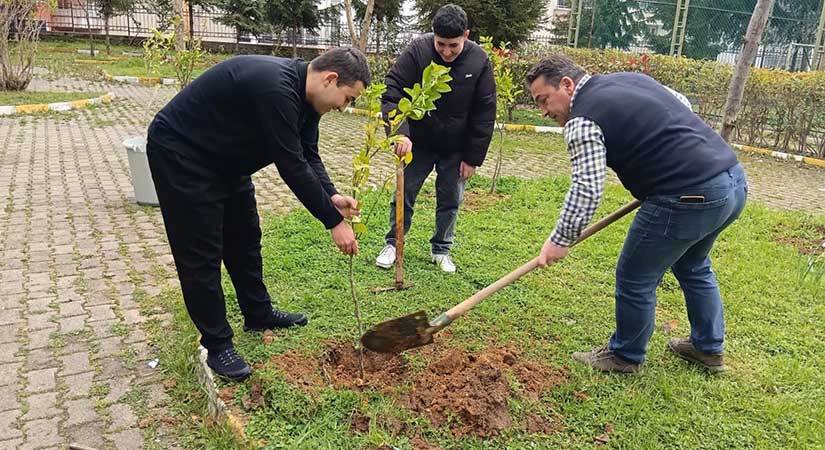 Espiye’de öğrenciler 250 fidanı toprakla buluşturdu
