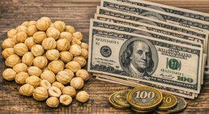 İhracatta sert düşüş, gelirde sınırlı kayıp