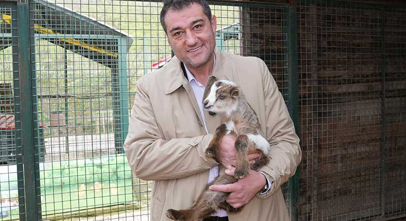 Giresun’da sokak hayvanları için duyarlılık çağrısı