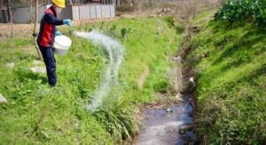 Giresun’da haşerelere karşı ilaçlama çalışmaları hızlandı