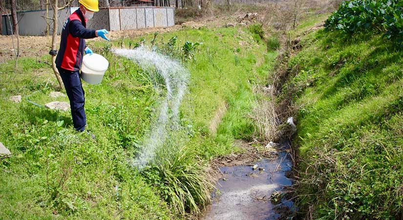 Giresun’da haşerelere karşı ilaçlama çalışmaları hızlandı