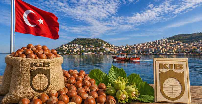 KFMİB yönetiminde 3 Giresunlu yer aldı