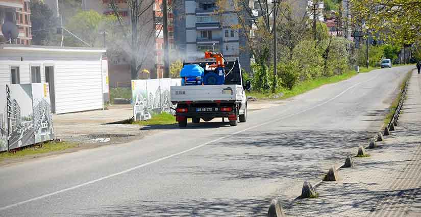 Giresun Belediyesi kokarca için sahaya indi