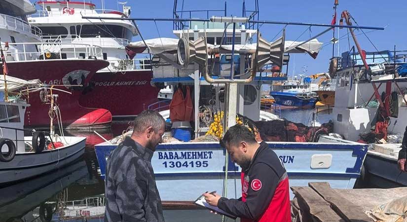 Giresun’da deniz salyangozu avcılığı mercek altında