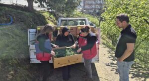 Giresun’da TAKE projesiyle fide dağıtımı başladı