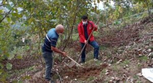 Giresun’da üreticilerden toprak numunesi alındı