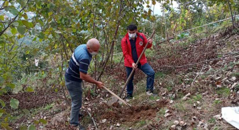 Giresun’da üreticilerden toprak numunesi alındı