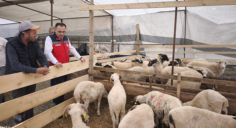 Giresun’da satış alanları mercek altında