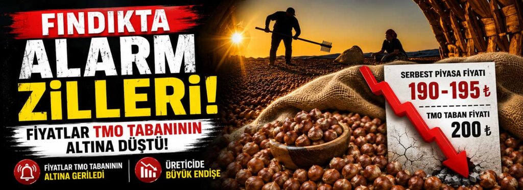 Fiyatlar TMO tabanının altına düştü