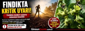 Fındıkta modern sulama sistemleri önerildi